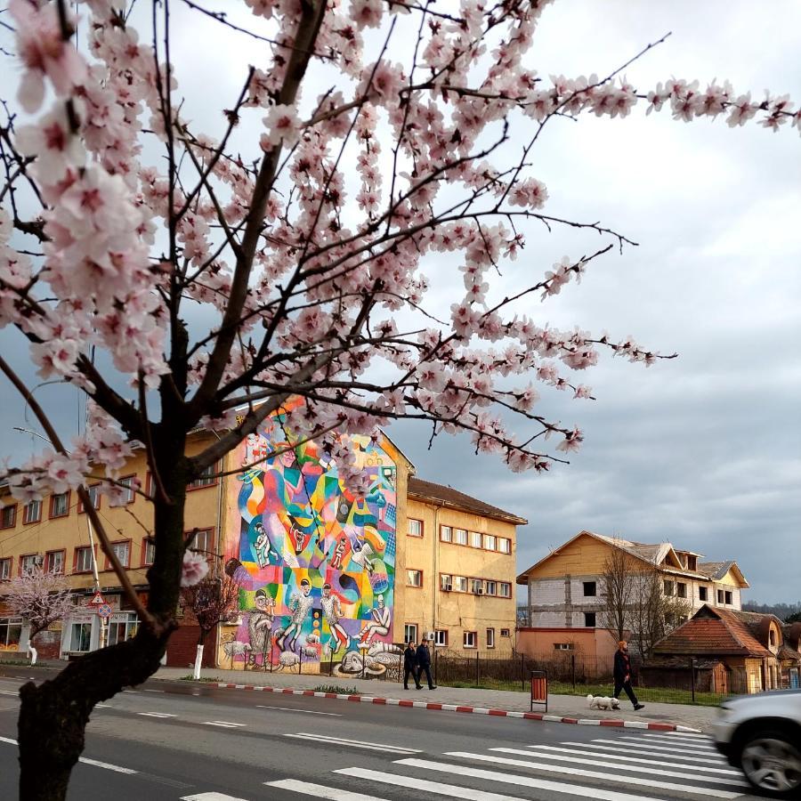 Fely Room Petroşani Exterior foto